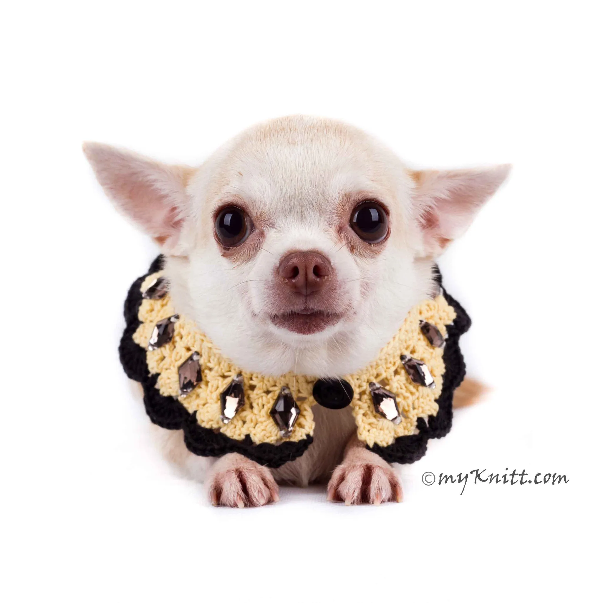Boho Dog Necklace with Black Rhinestones Accessories DN17