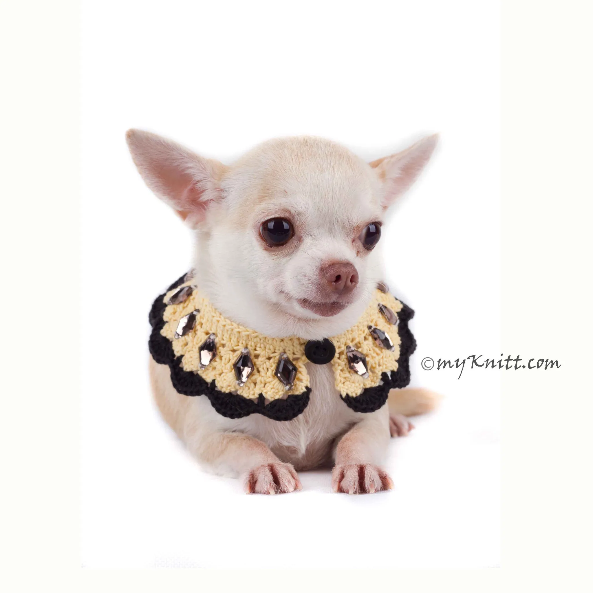 Boho Dog Necklace with Black Rhinestones Accessories DN17