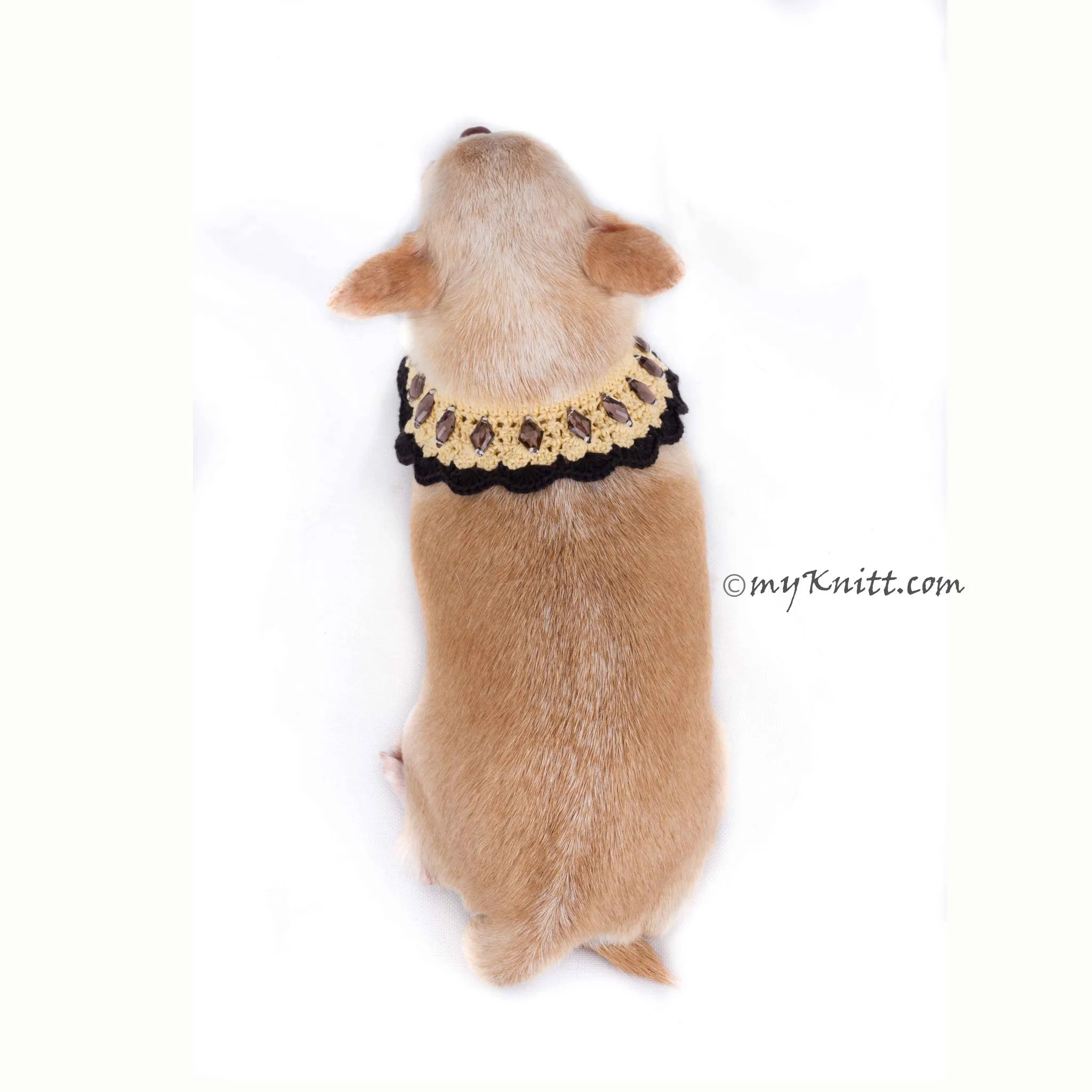 Boho Dog Necklace with Black Rhinestones Accessories DN17