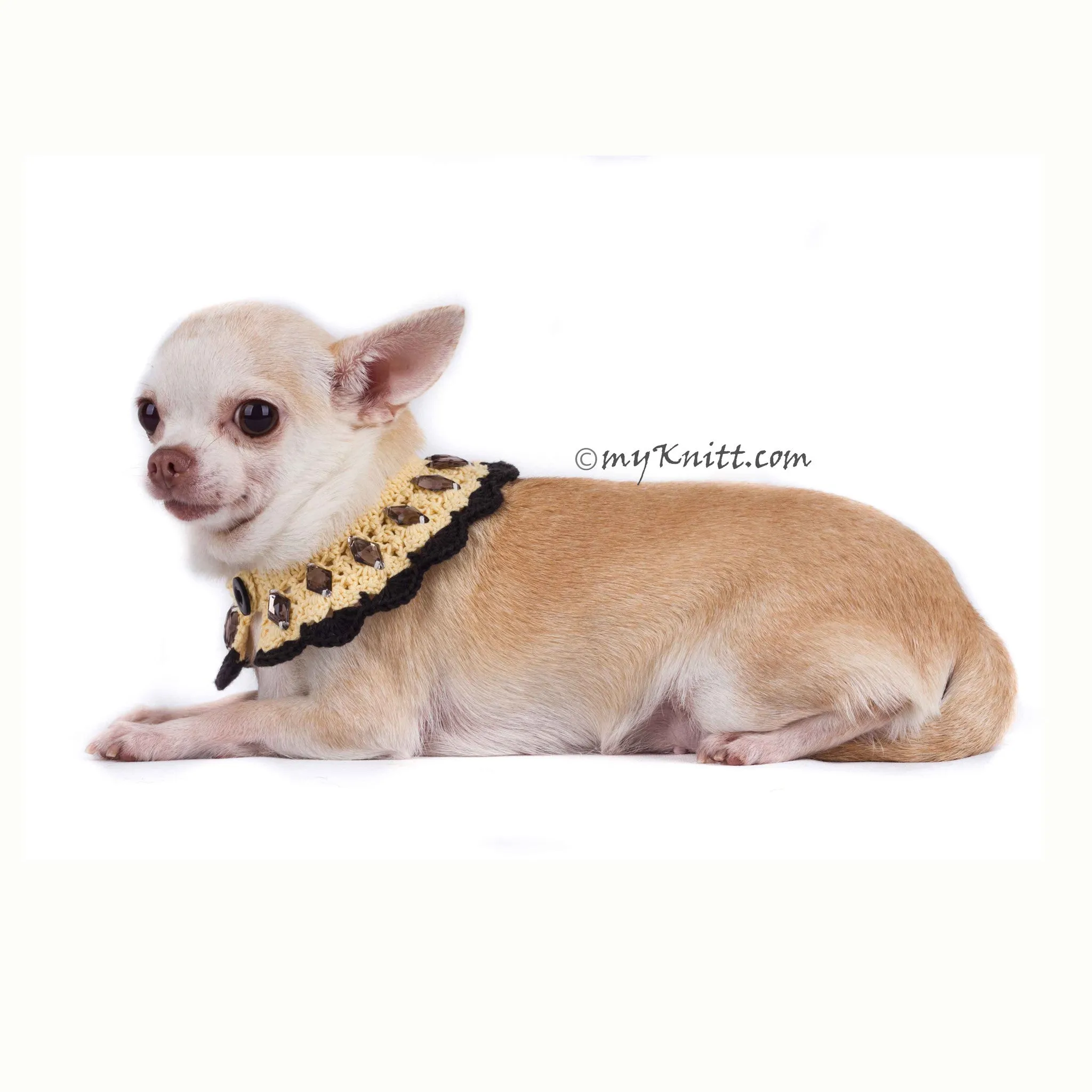 Boho Dog Necklace with Black Rhinestones Accessories DN17