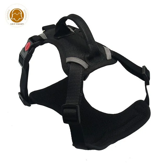 Harnesses Vests chest