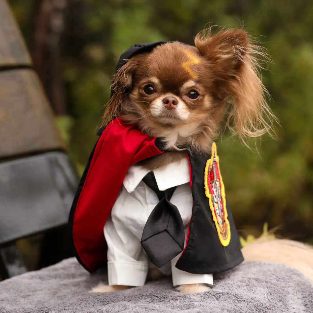 Harry Pawtter Gryffindog Cape