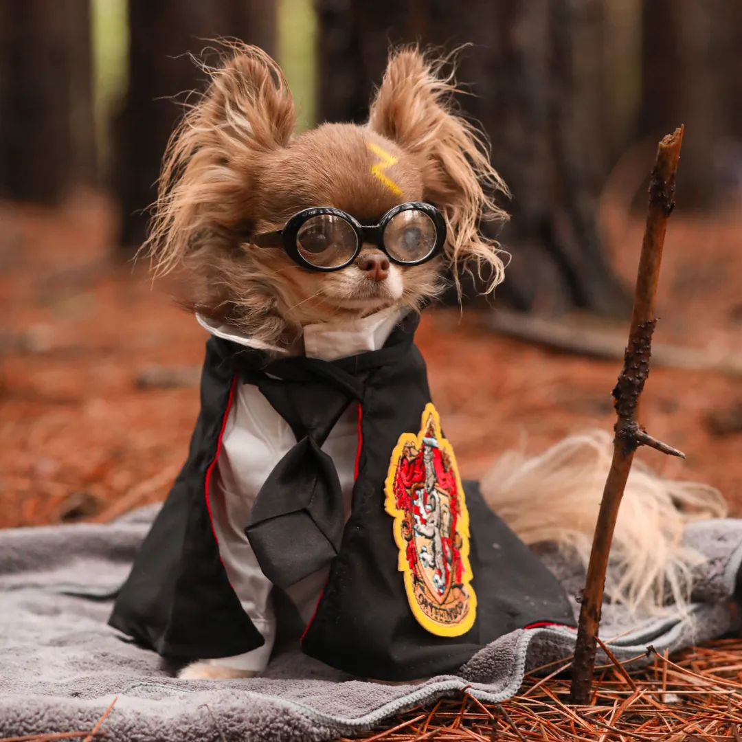 Harry Pawtter Gryffindog Cape