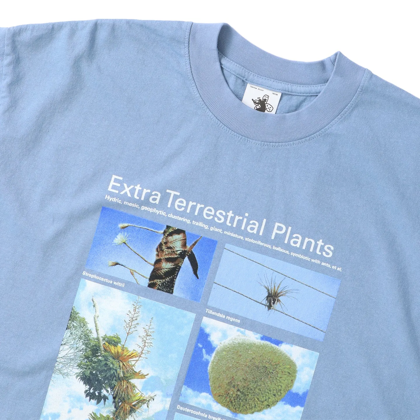 Taxa Shirts