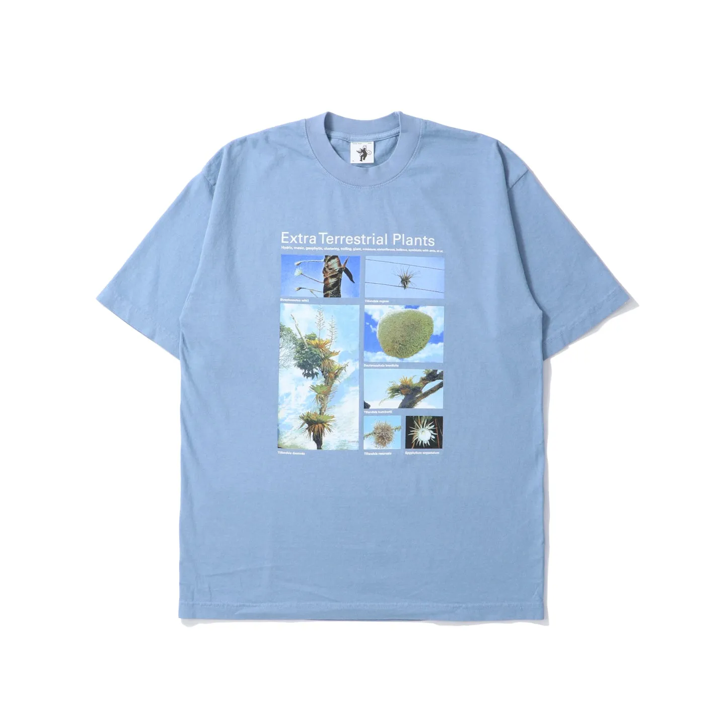Taxa Shirts