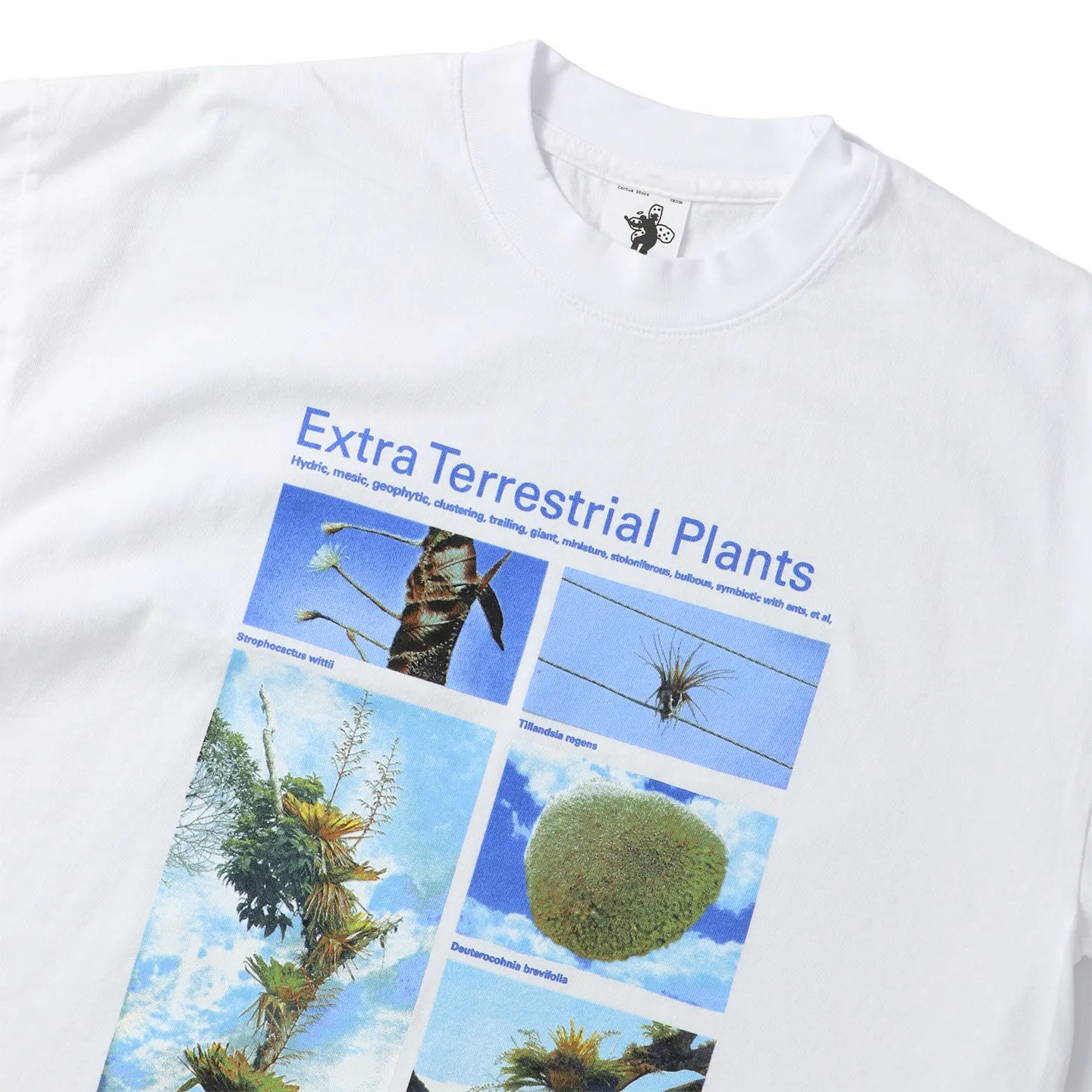 Taxa Shirts