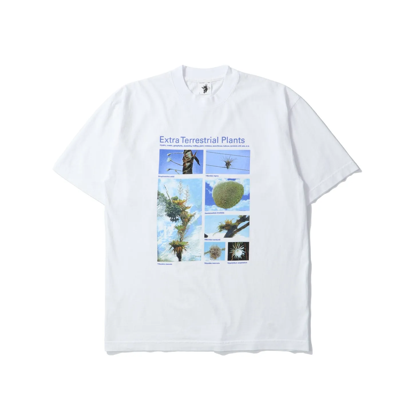 Taxa Shirts